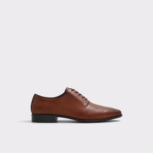 Biaggoo Cognac Men's Oxfords & Lace-Ups Oxfords & Lace-Ups Cognac Men Aldo - 1