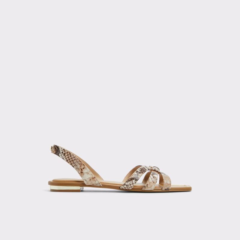 Marassita Brown Multi Women's Slingbacks Slingbacks Brown Multi Aldo Women - 1