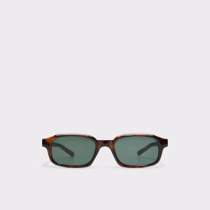 Men Sunglasses Other Brown Aldo Drouynx Other Brown Men's Sunglasses - 1