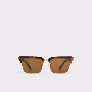 Other Brown Women Sunglasses Aldo Apanas Other Brown Women's Square - 1