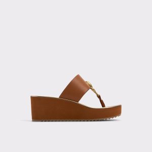 Penelopy Medium Brown Women's Platform Sandals Women Aldo Sandals Medium Brown - 1
