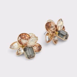 Women Brocla Light Brown Women's Earrings Aldo Light Brown Jewelry - 1