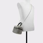 Women Silver/Clear Multi Teeax Silver/Clear Multi Women's Top Handle Bags Aldo Top Handle Bags - 4