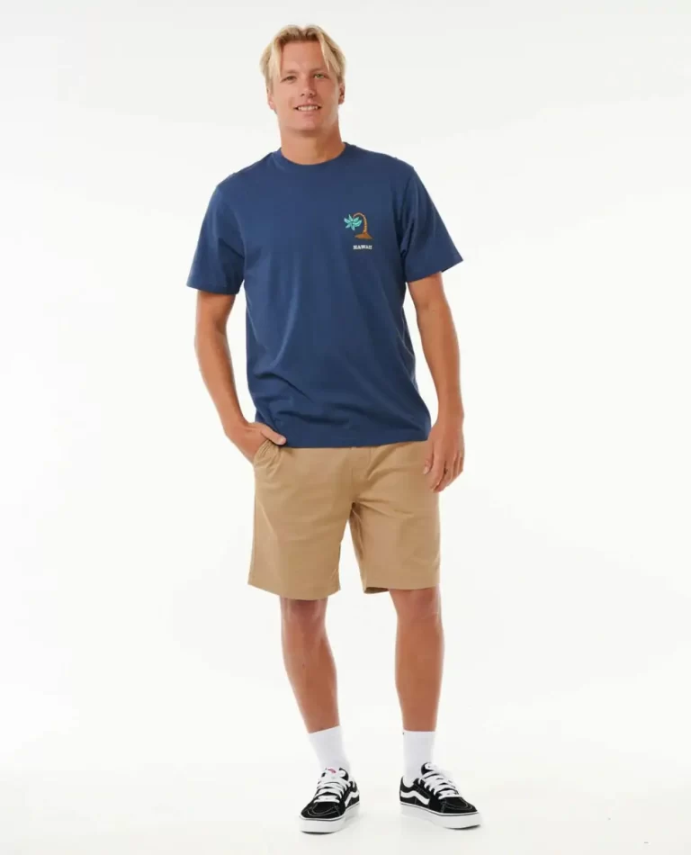 Men Rip Curl Wish You Were Here Desto Tee Tees & Tanks - 4