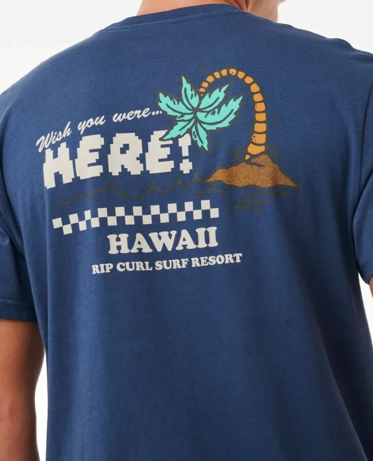 Men Rip Curl Wish You Were Here Desto Tee Tees & Tanks - 5