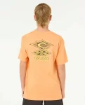 Rip Curl Raw Energy Dolphin Tee Kids Tops & Tees - 3