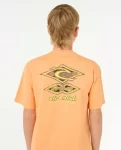 Rip Curl Raw Energy Dolphin Tee Kids Tops & Tees - 5